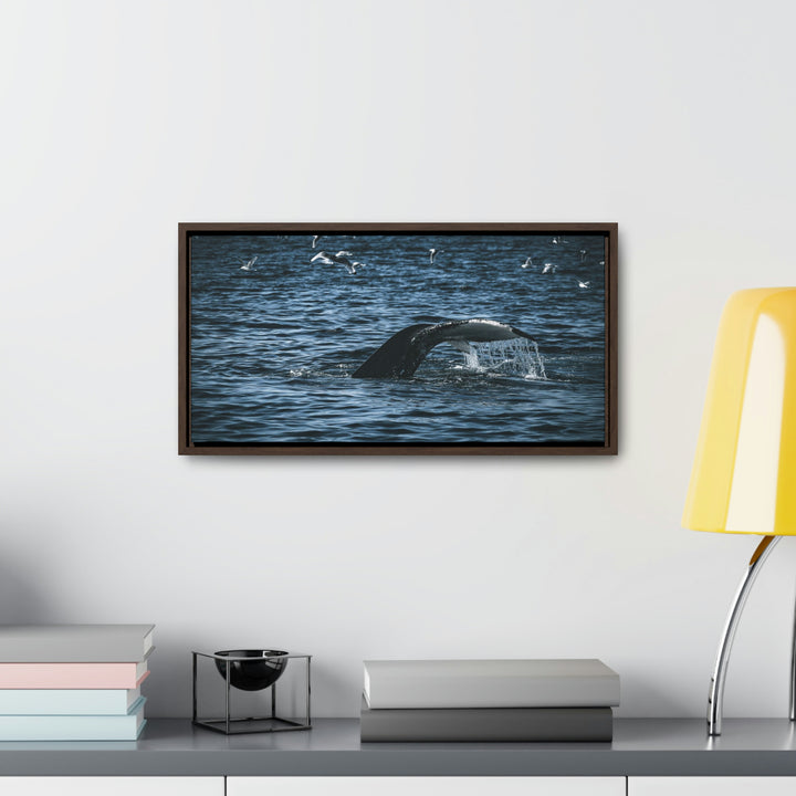 Feeding Tail - Canvas with Frame