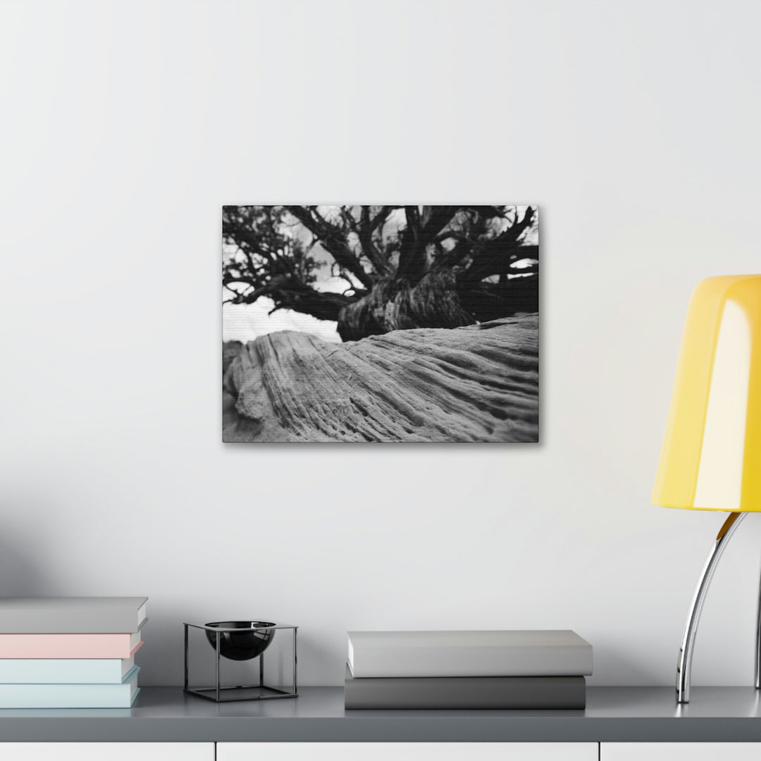 Desert Reach in Black and White - Canvas