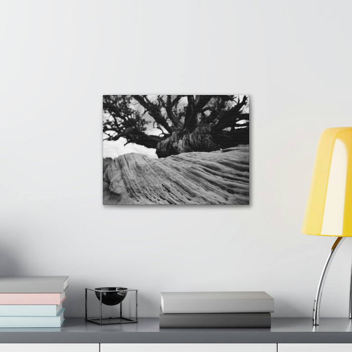 Desert Reach in Black and White - Canvas