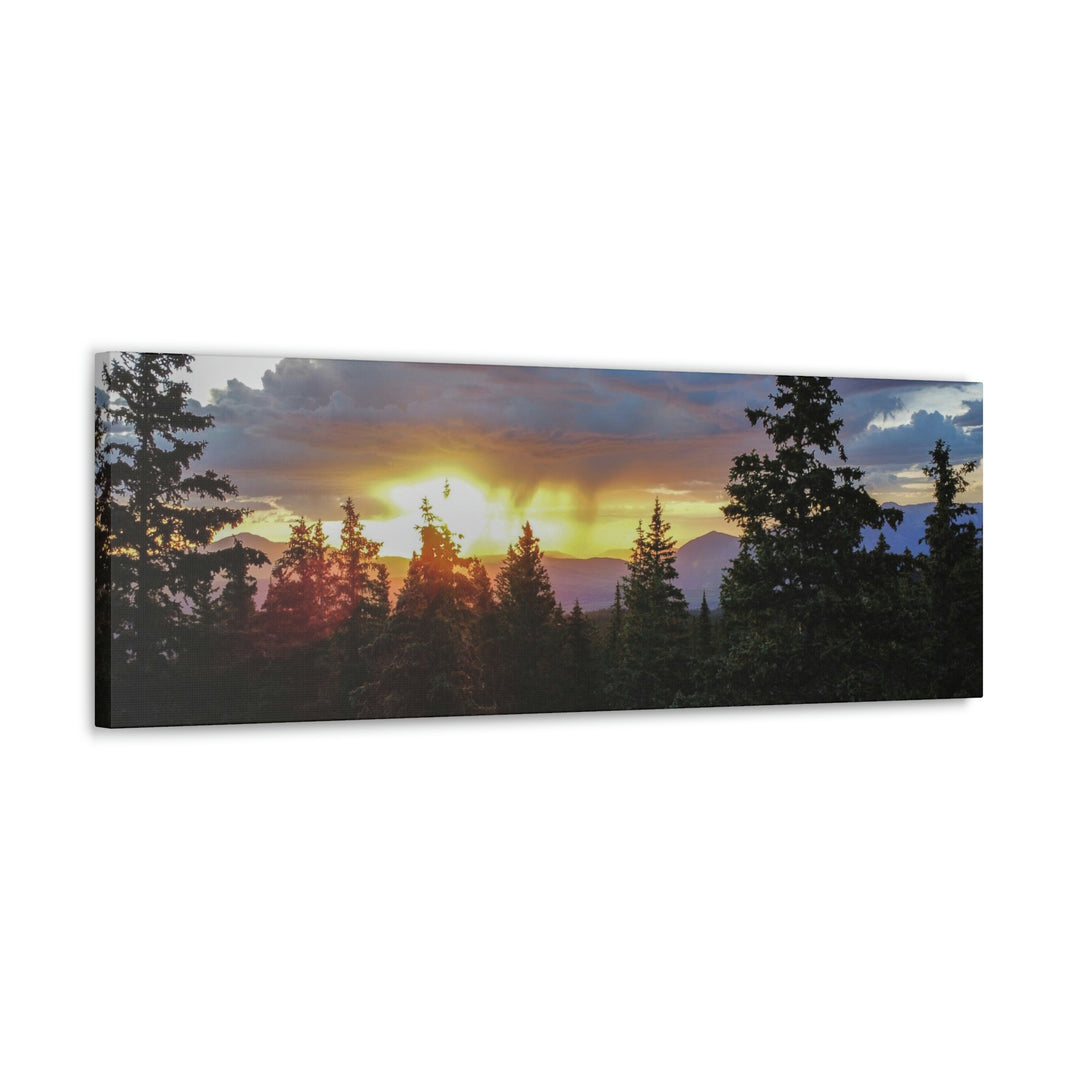 Rainy Sunset Through the Trees - Canvas