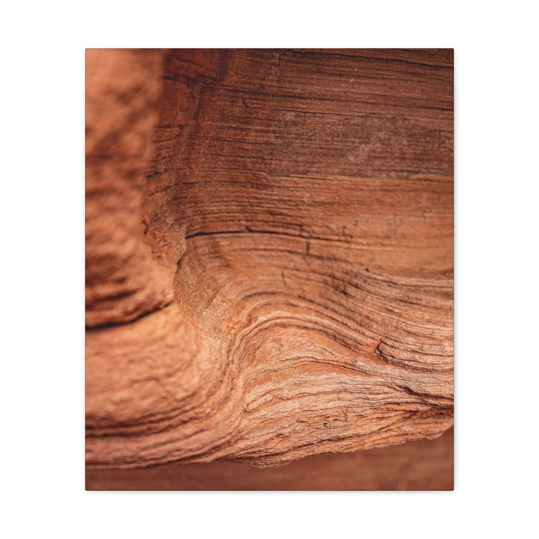 Sedimentary Rock Curves - Canvas