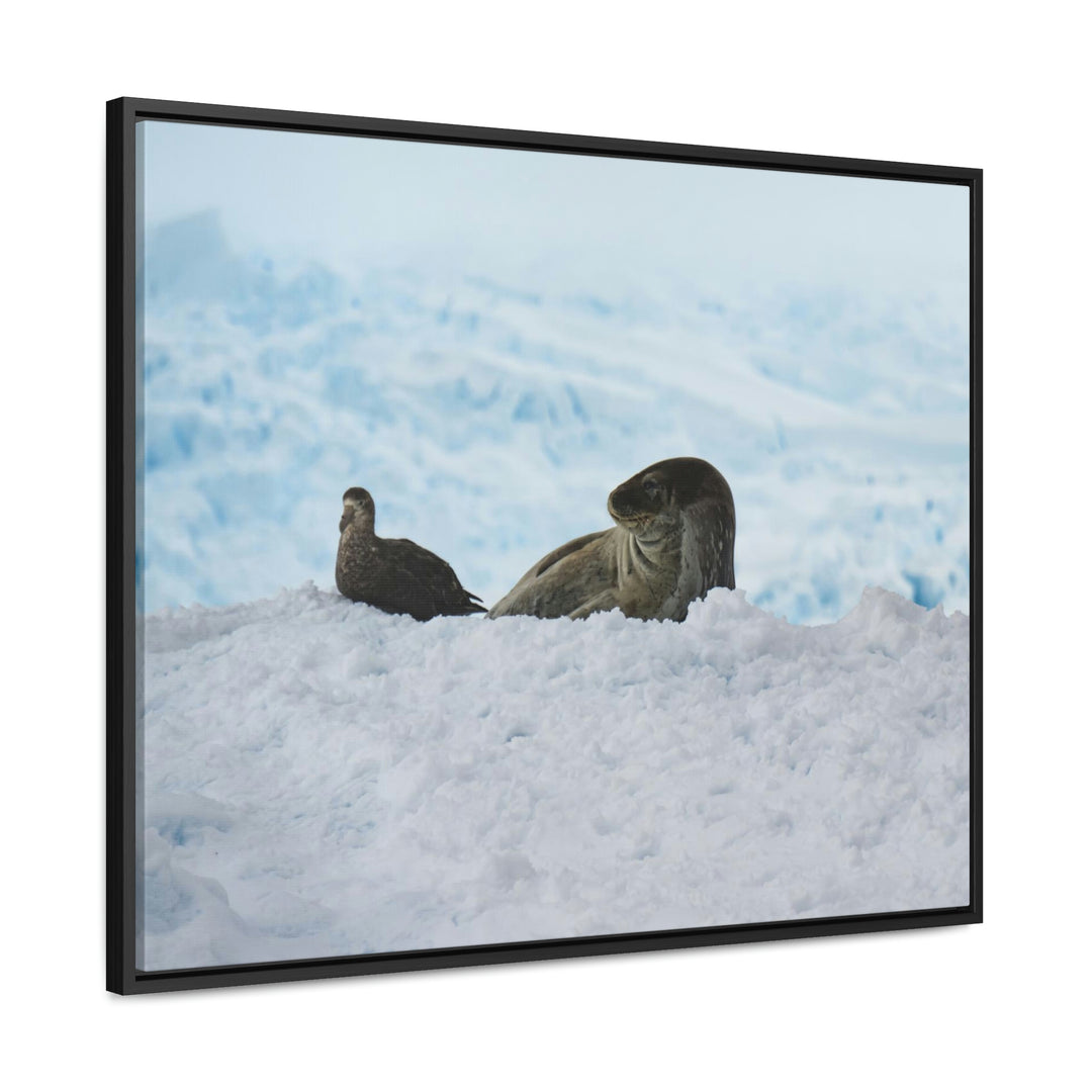 A Resting Pair - Canvas with Frame