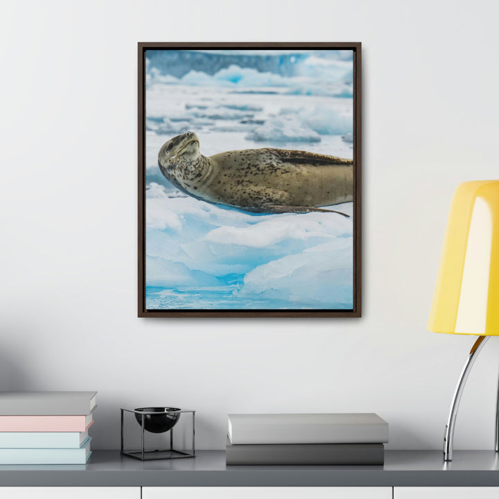 Leopard Seal Relaxing - Canvas with Frame