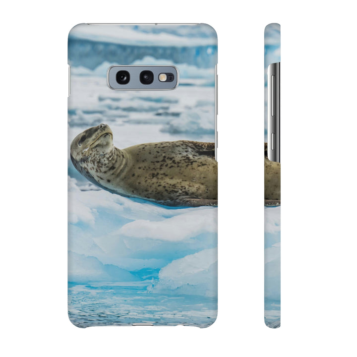 Leopard Seal Relaxing - Phone Case