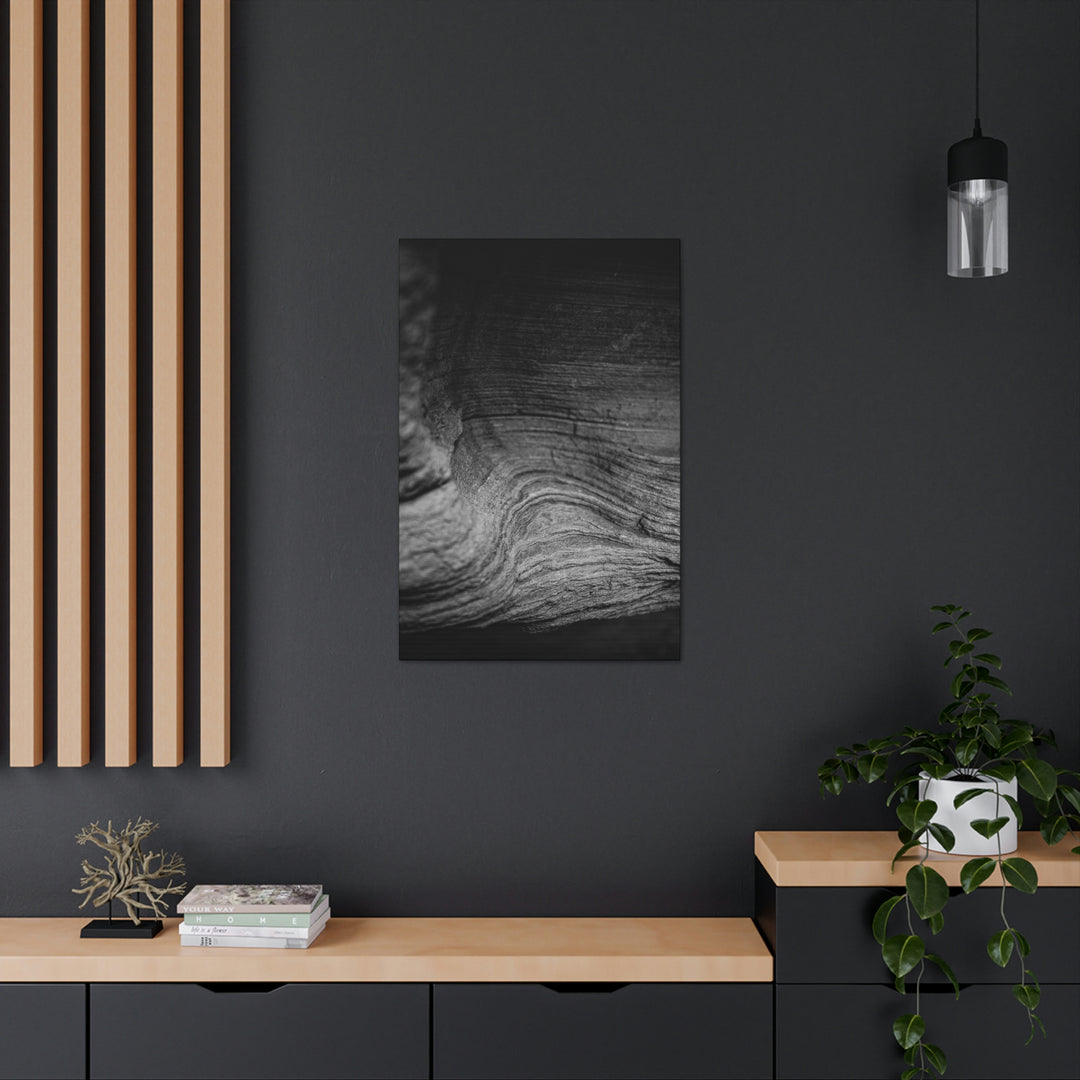 Sedimentary Rock Curves in Black and White - Canvas