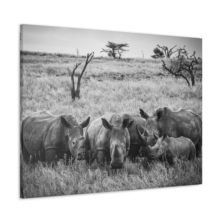 Rhino Family in Black and White - Canvas