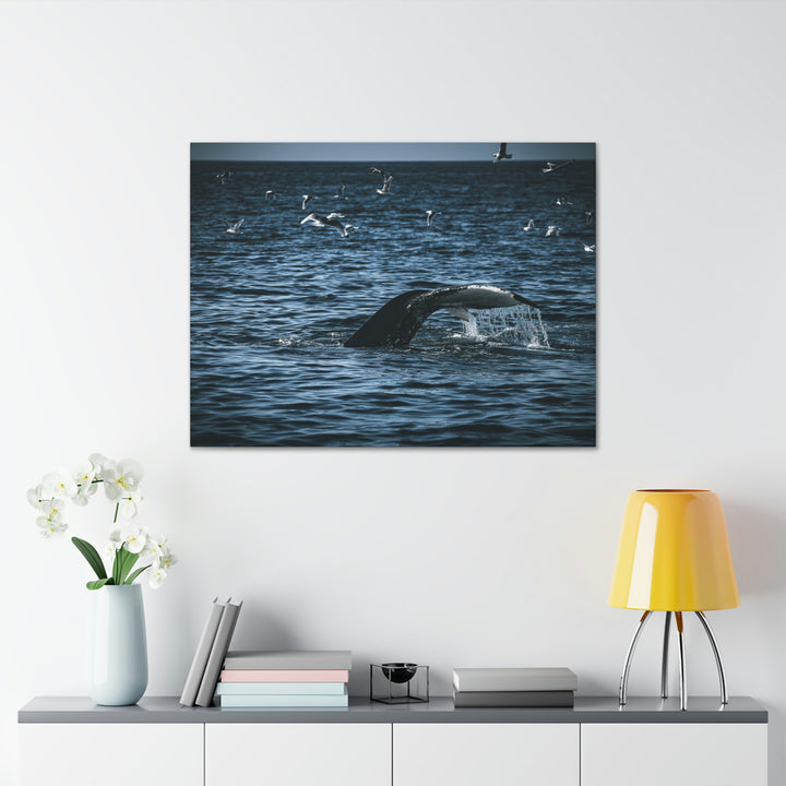 Feeding Tail - Canvas