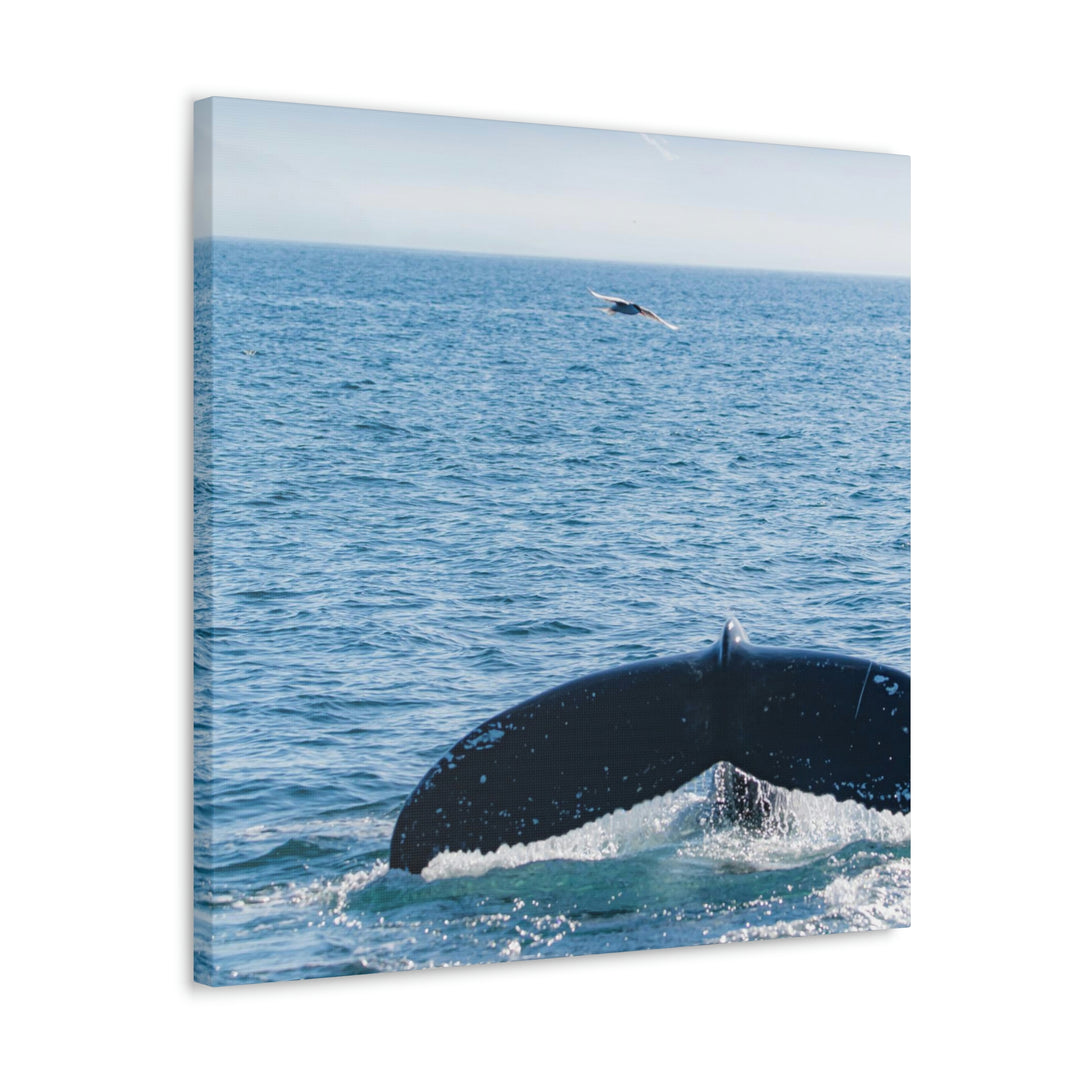 A Whale and A Mountain - Canvas