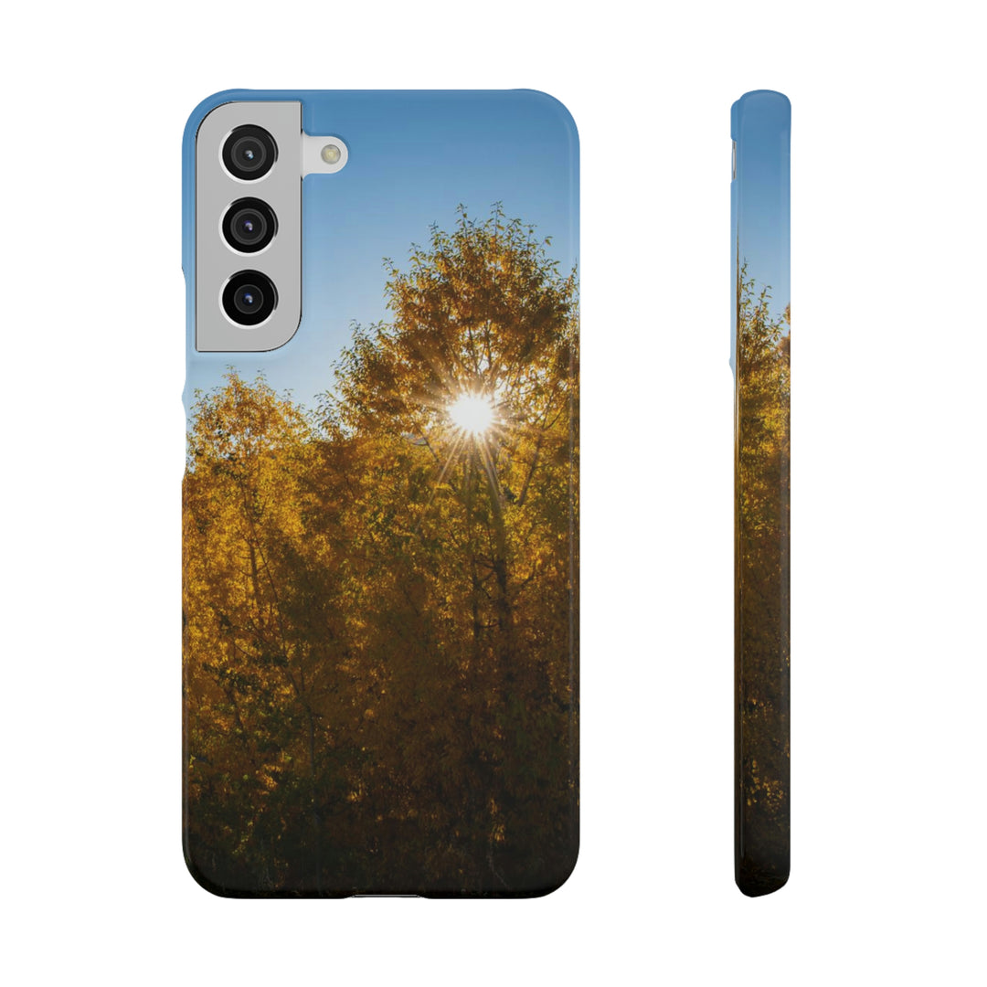 Sun Through the Aspens - Phone Case