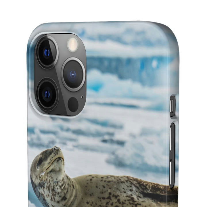 Leopard Seal Relaxing - Phone Case