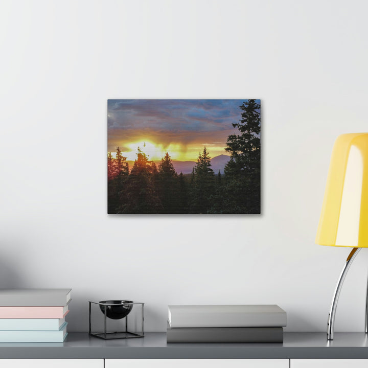 Rainy Sunset Through the Trees - Canvas