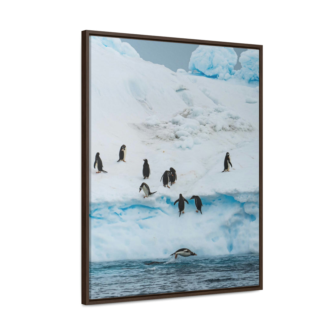 Porpoising Penguin - Canvas with Frame