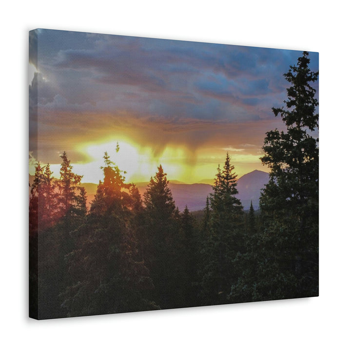 Rainy Sunset Through the Trees - Canvas