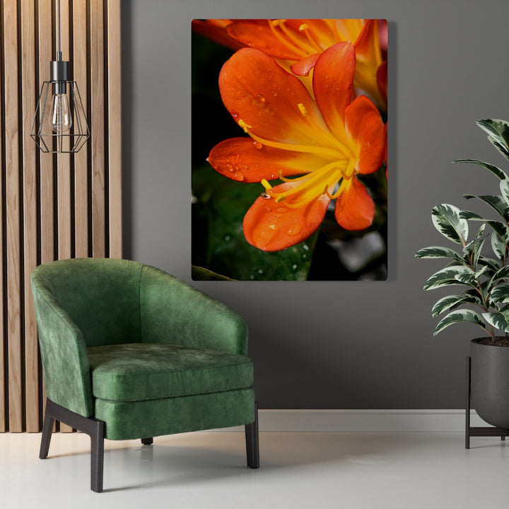 Bright Bush Lily - Canvas