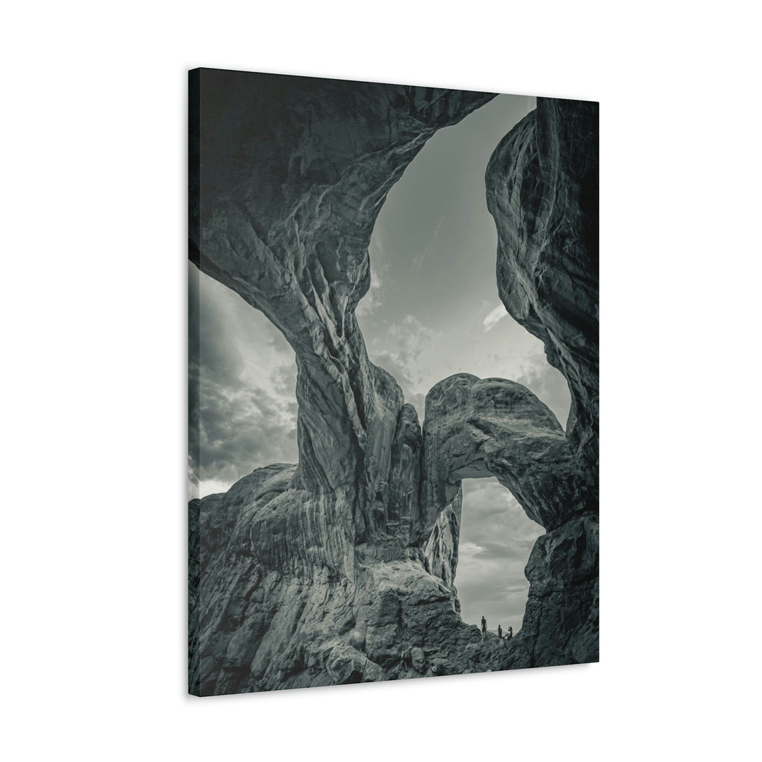 Natural Frames Part 1 in Black and White - Canvas