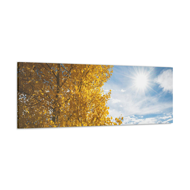 Golden Sunshine - Canvas