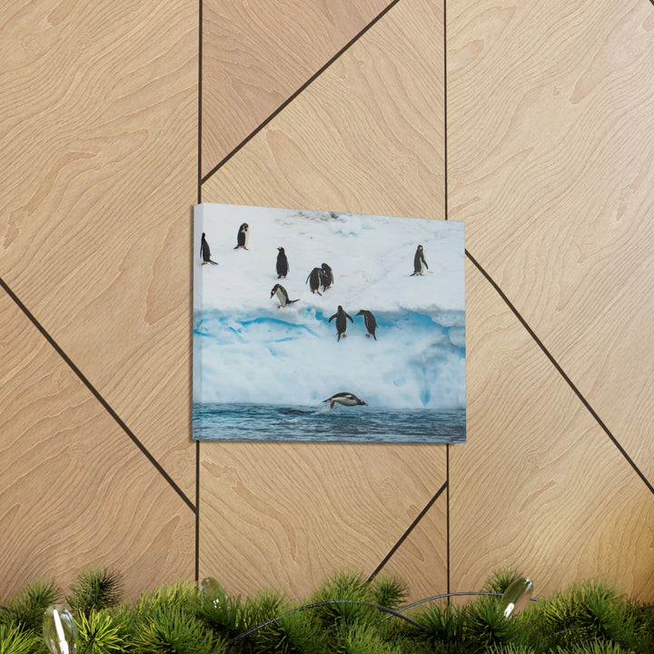 Porpoising Penguin - Canvas