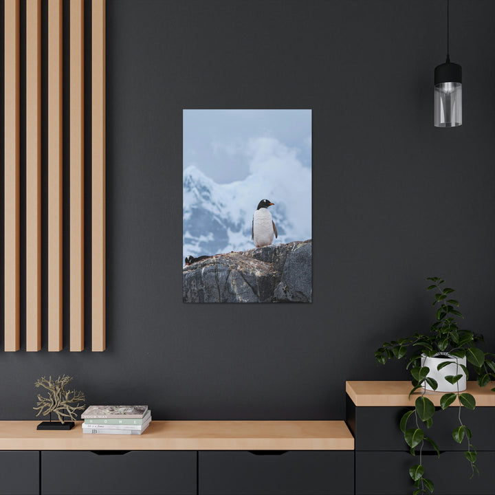 Poised Penguin - Canvas