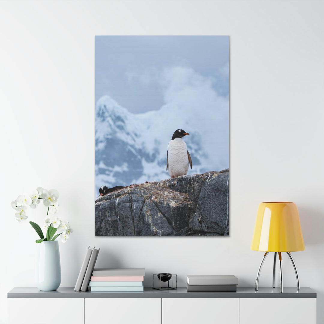 Poised Penguin - Canvas