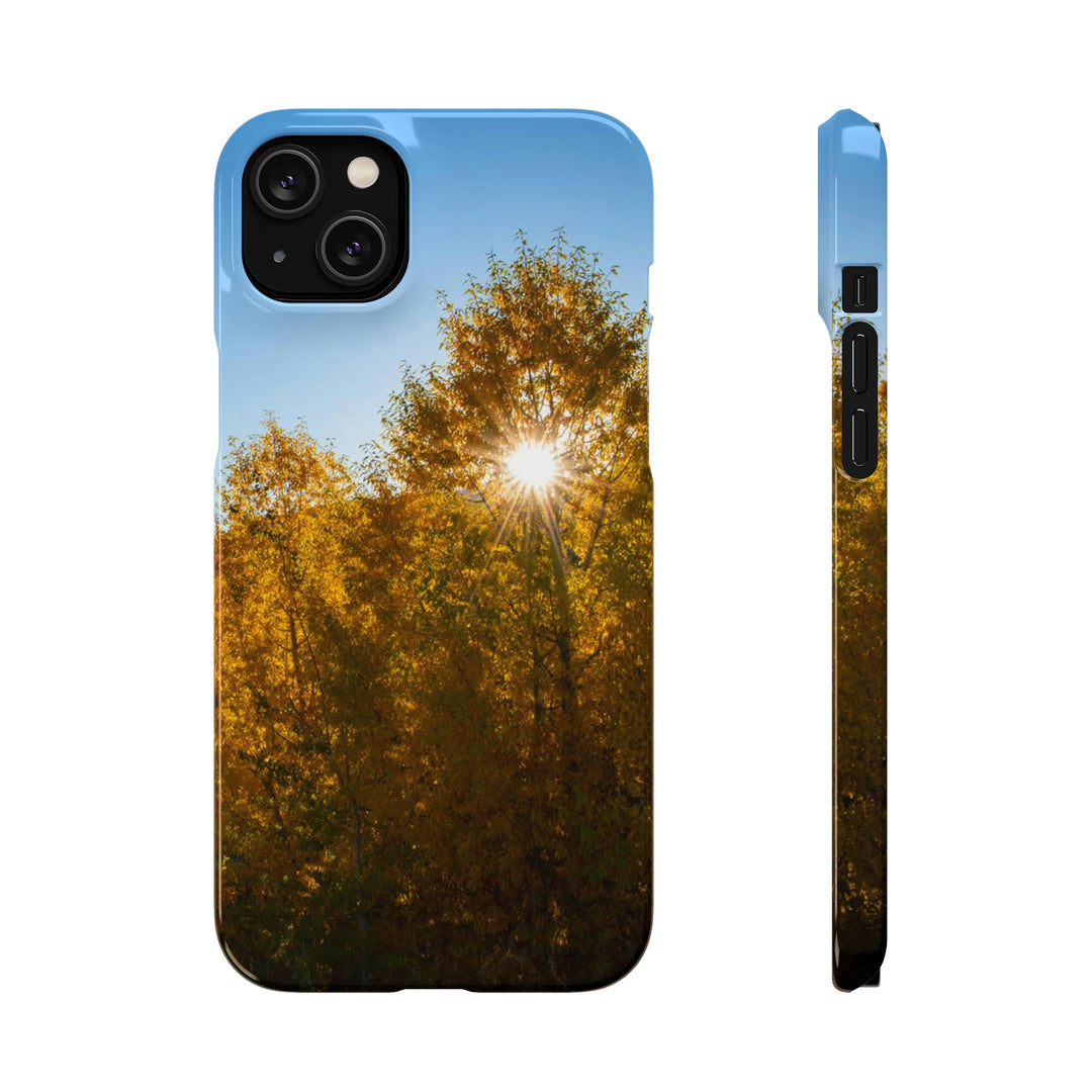 Sun Through the Aspens - Phone Case