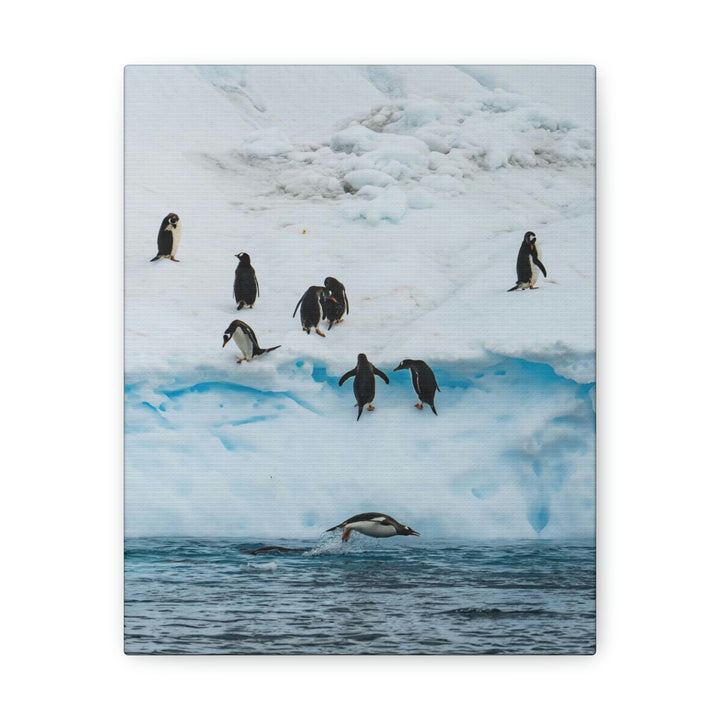 Porpoising Penguin - Canvas