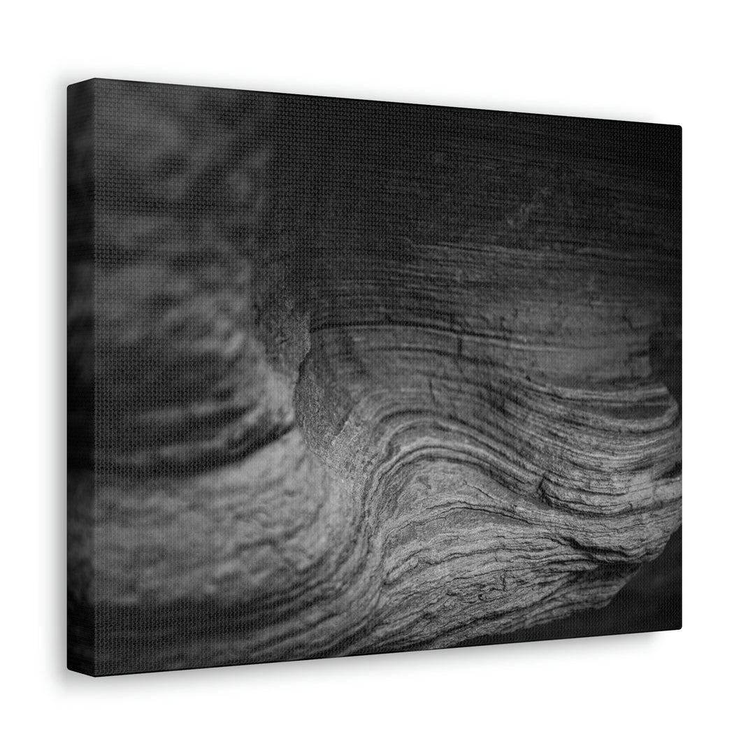 Sedimentary Rock Curves in Black and White - Canvas