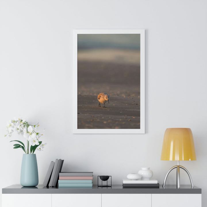 Feeding Sanderling - Framed Print - Visiting This World