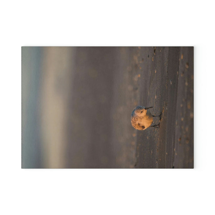 Feeding Sanderling - Glass Cutting Board - Visiting This World