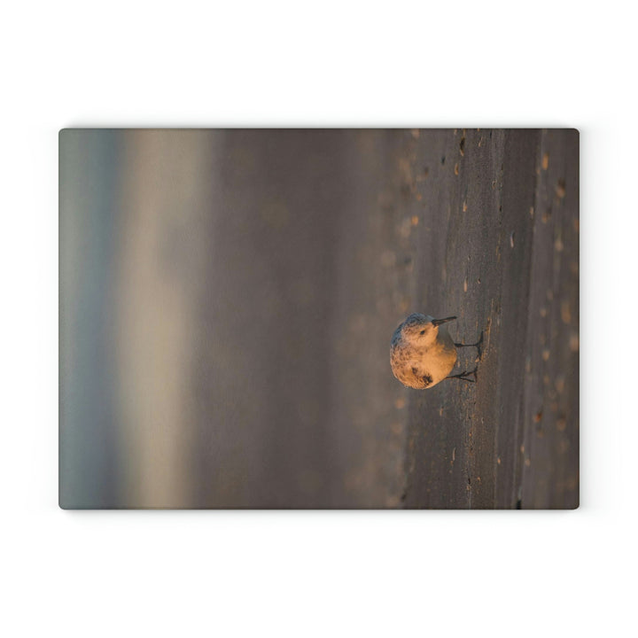 Feeding Sanderling - Glass Cutting Board - Visiting This World