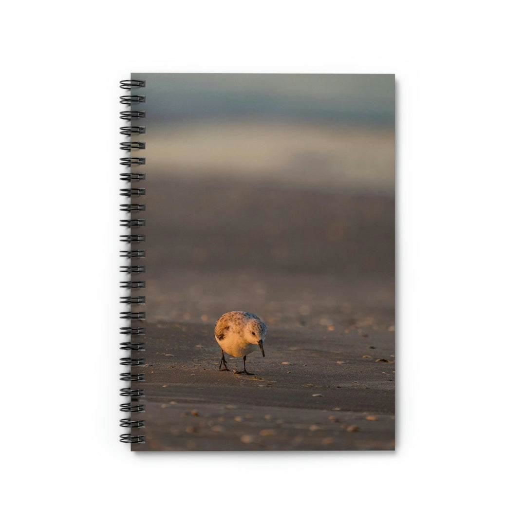 Feeding Sanderling - Spiral Ruled Line Notebook - Visiting This World