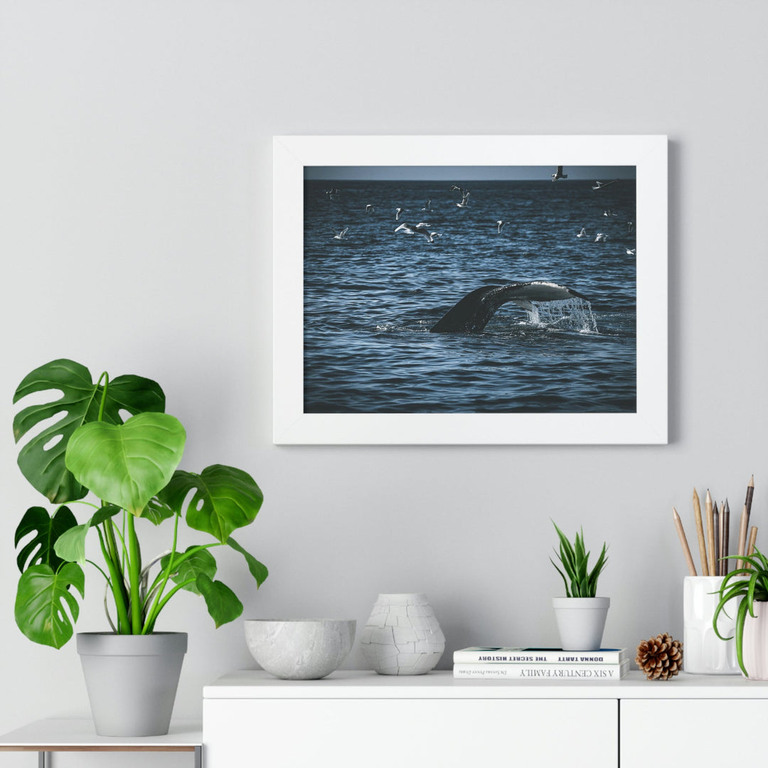 Feeding Tail - Framed Print - Visiting This World