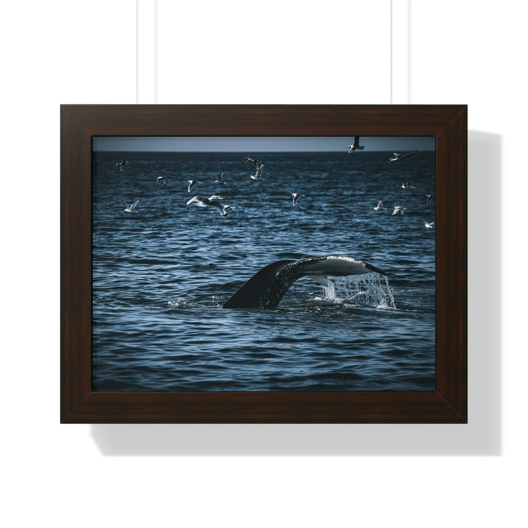 Feeding Tail - Framed Print - Visiting This World