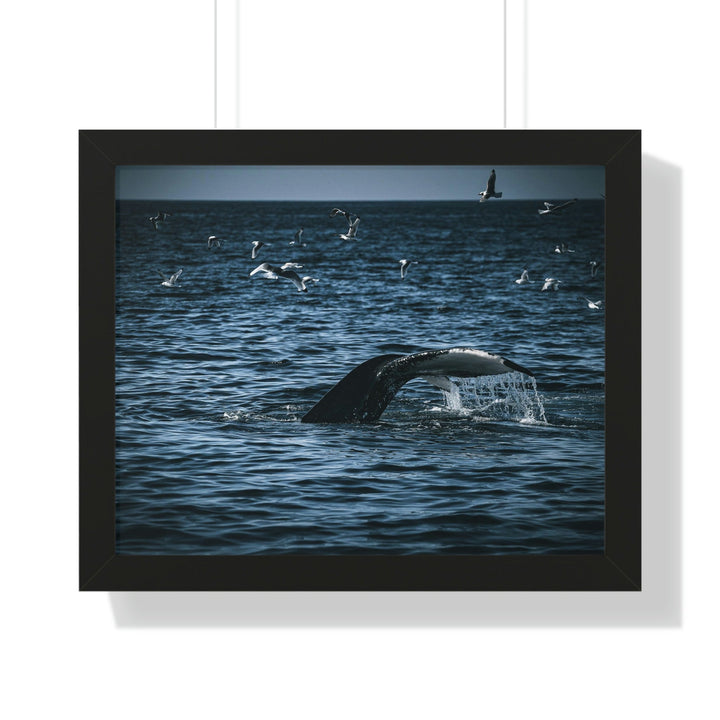 Feeding Tail - Framed Print - Visiting This World