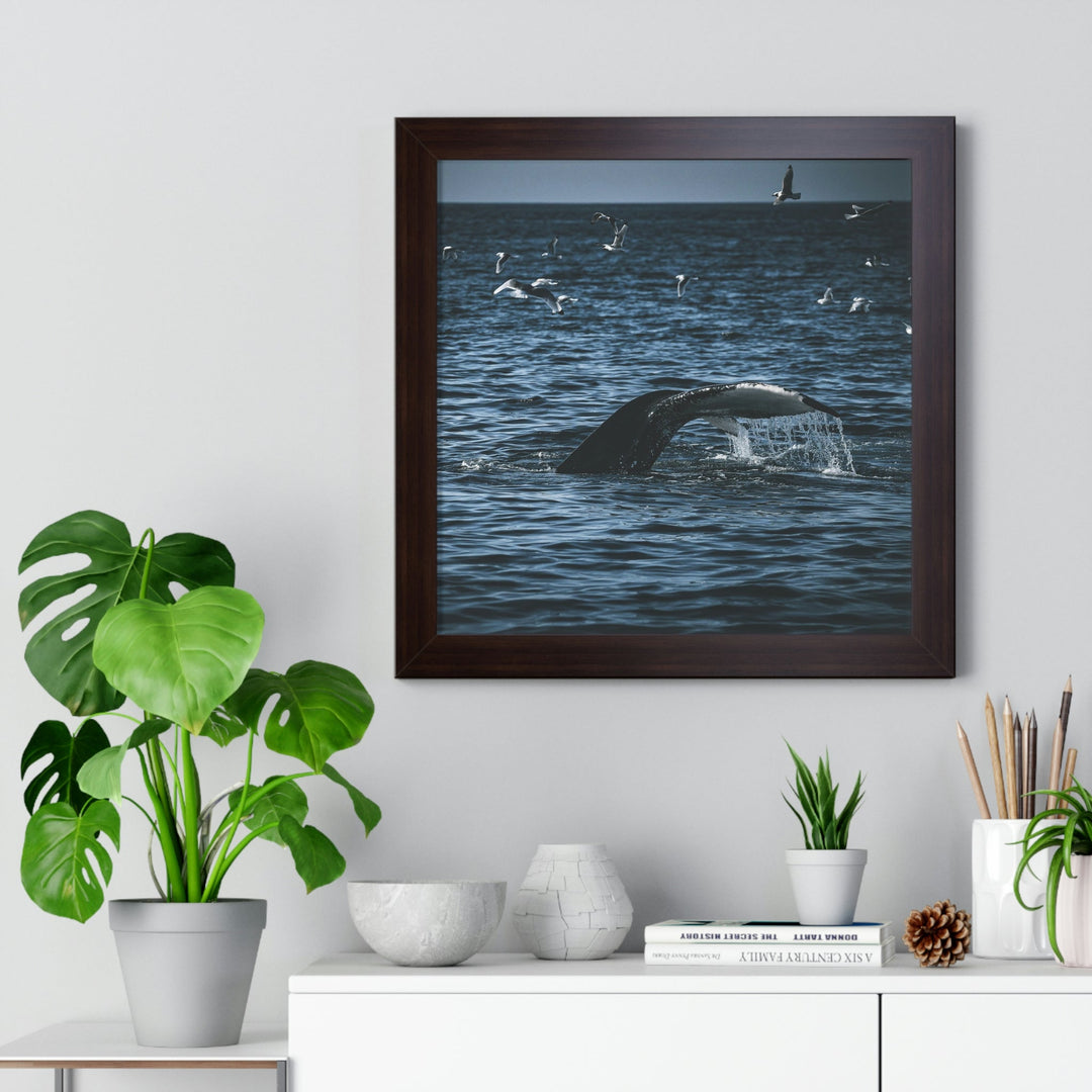 Feeding Tail - Framed Print - Visiting This World