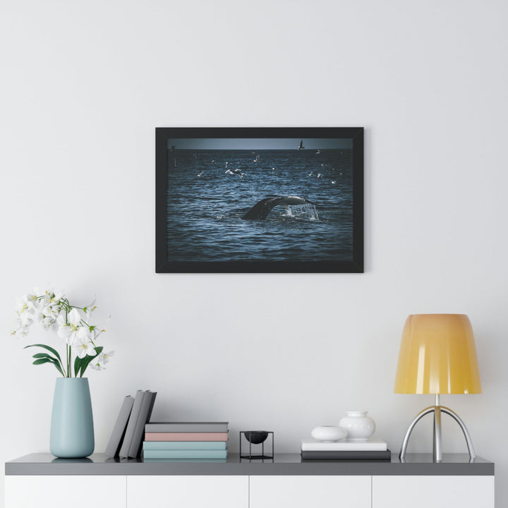 Feeding Tail - Framed Print - Visiting This World