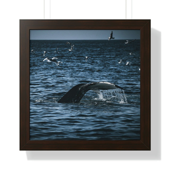 Feeding Tail - Framed Print - Visiting This World