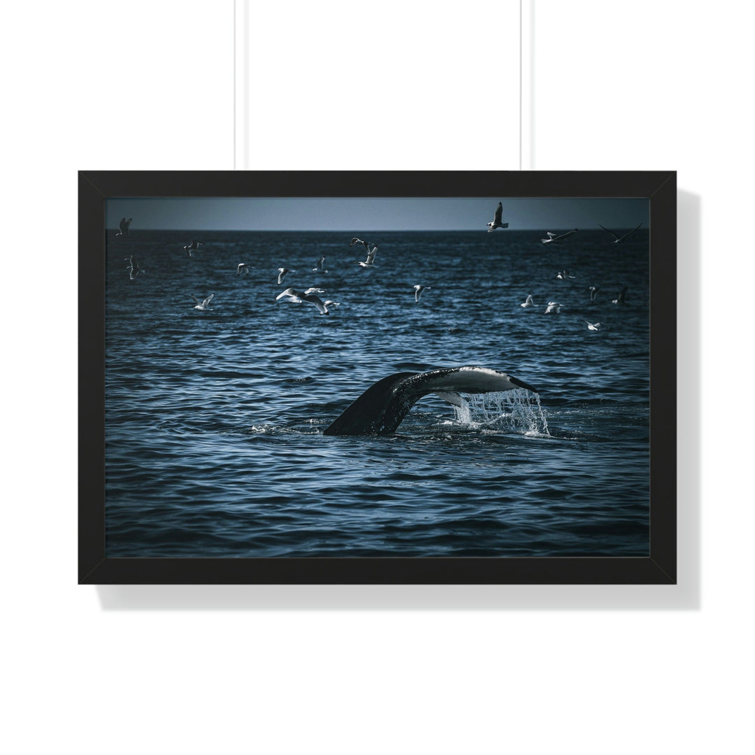 Feeding Tail - Framed Print - Visiting This World