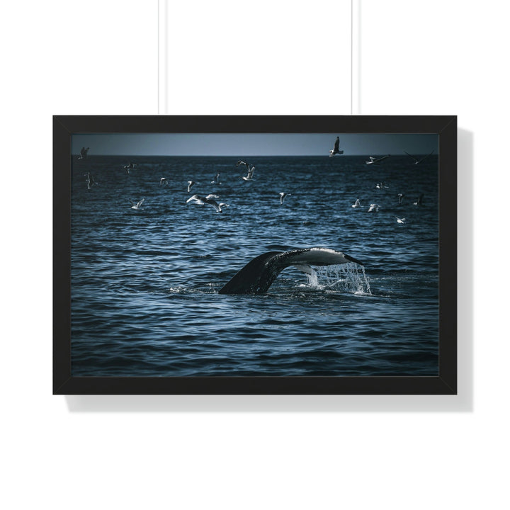 Feeding Tail - Framed Print - Visiting This World