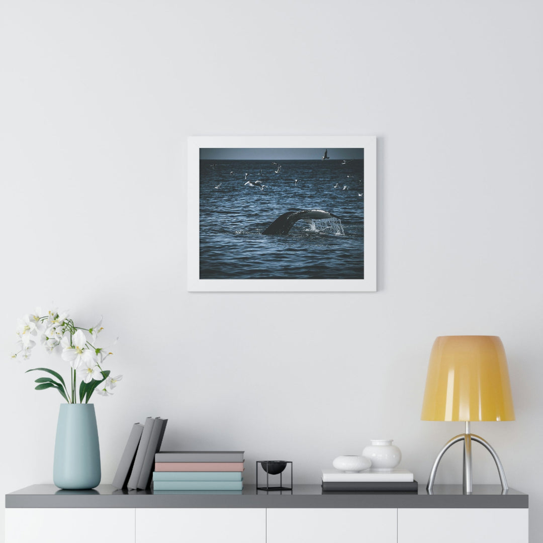 Feeding Tail - Framed Print - Visiting This World