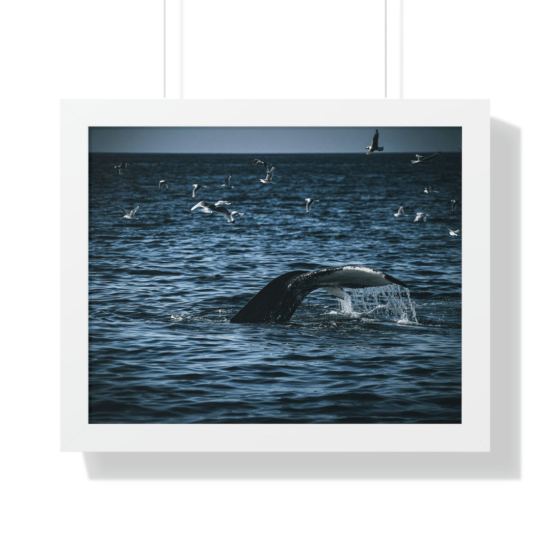 Feeding Tail - Framed Print - Visiting This World