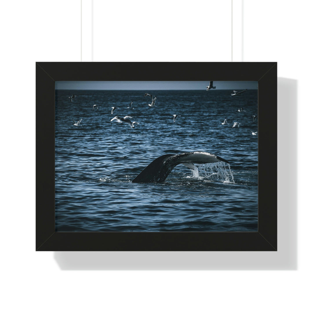 Feeding Tail - Framed Print - Visiting This World