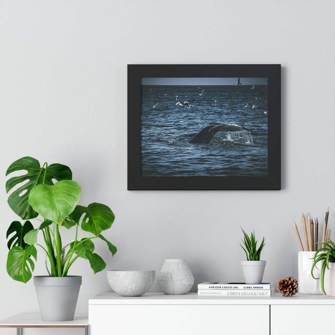 Feeding Tail - Framed Print - Visiting This World