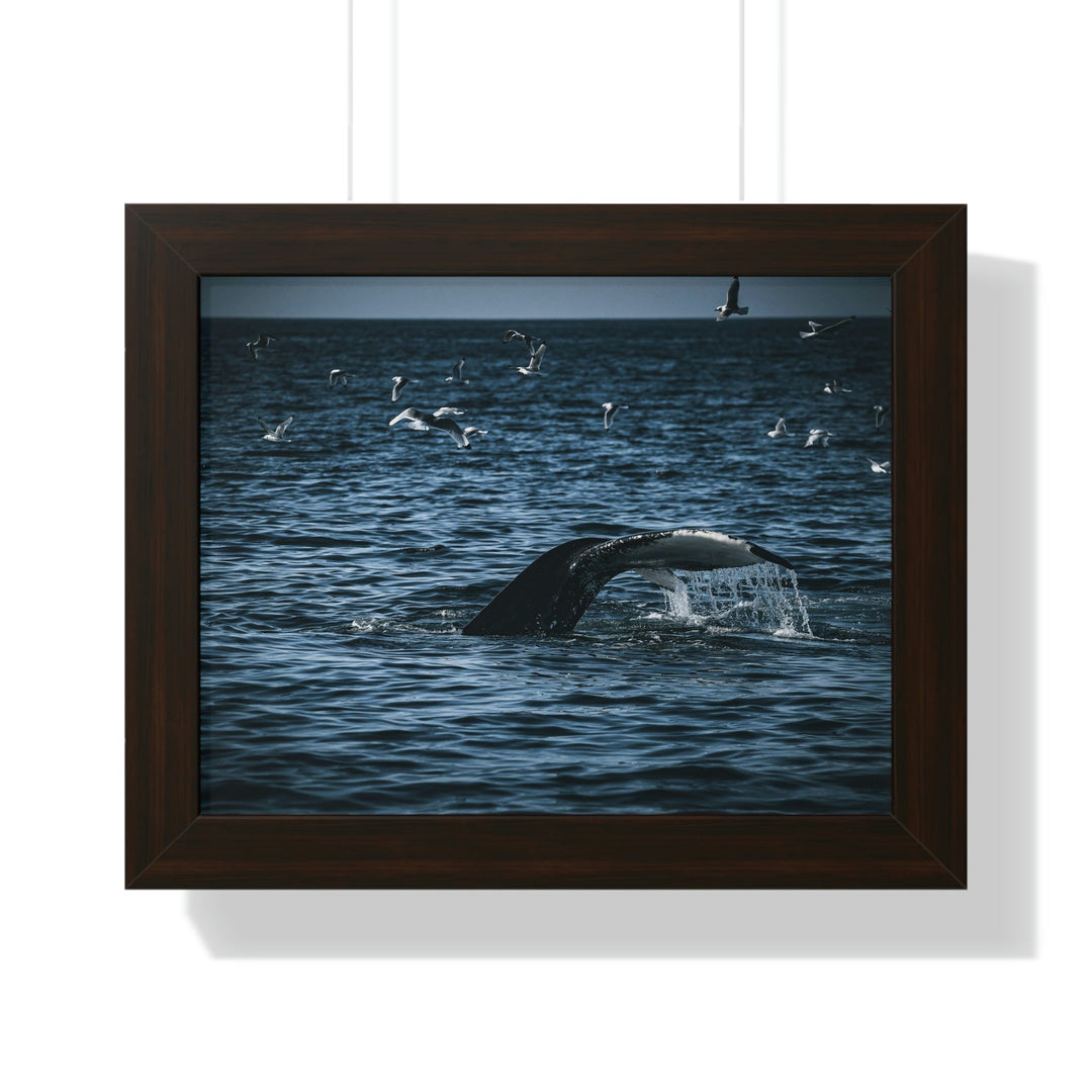 Feeding Tail - Framed Print - Visiting This World