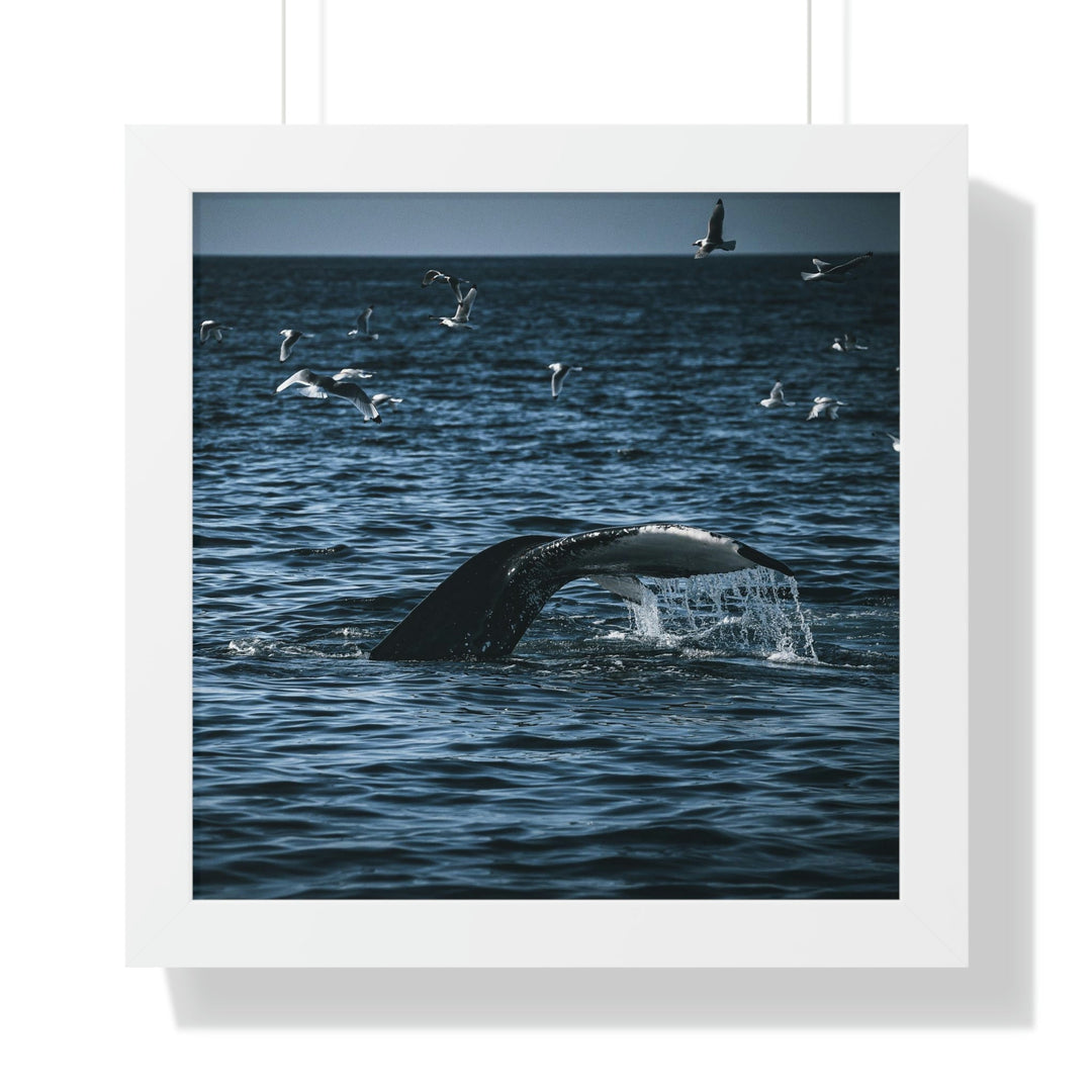 Feeding Tail - Framed Print - Visiting This World