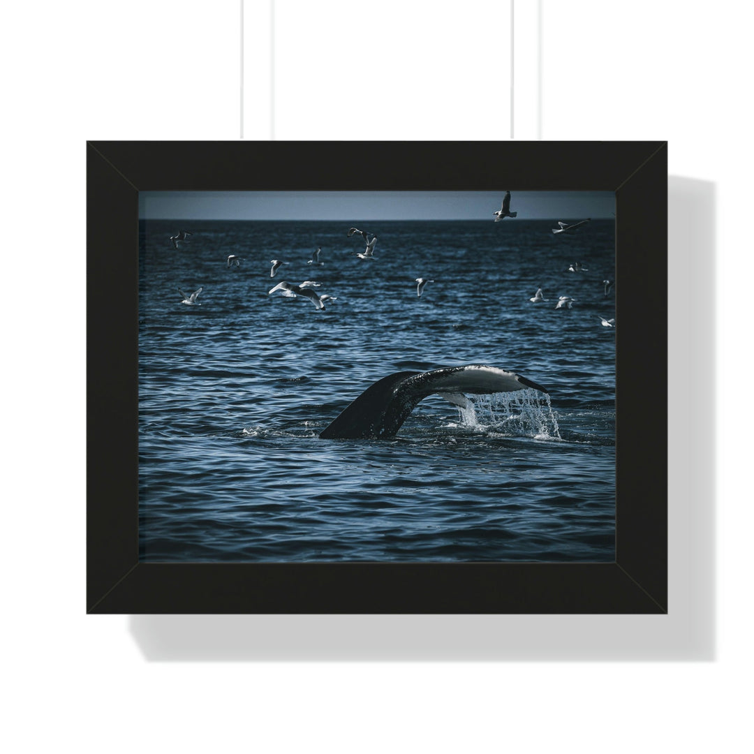 Feeding Tail - Framed Print - Visiting This World