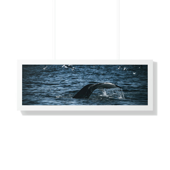 Feeding Tail - Framed Print - Visiting This World