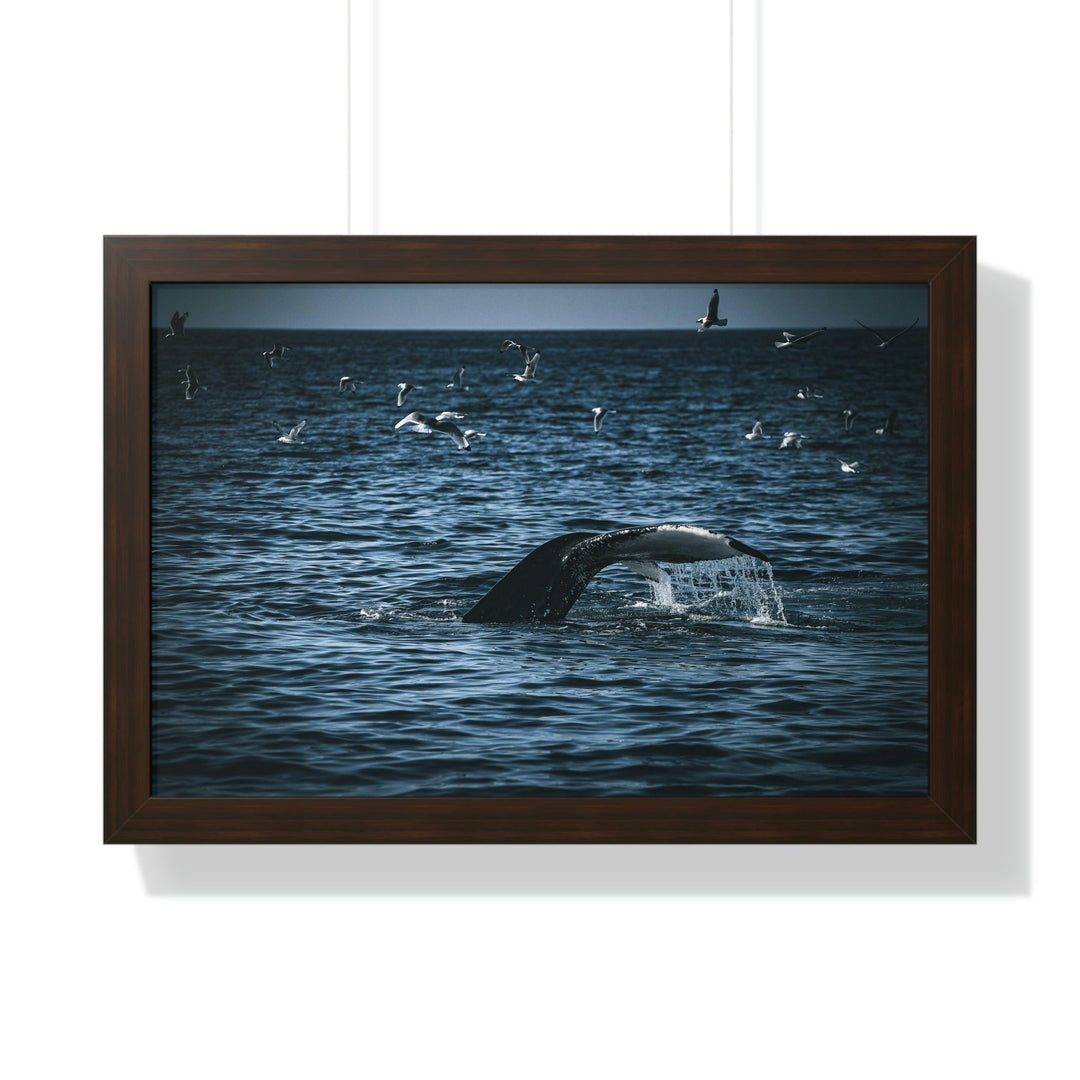 Feeding Tail - Framed Print - Visiting This World