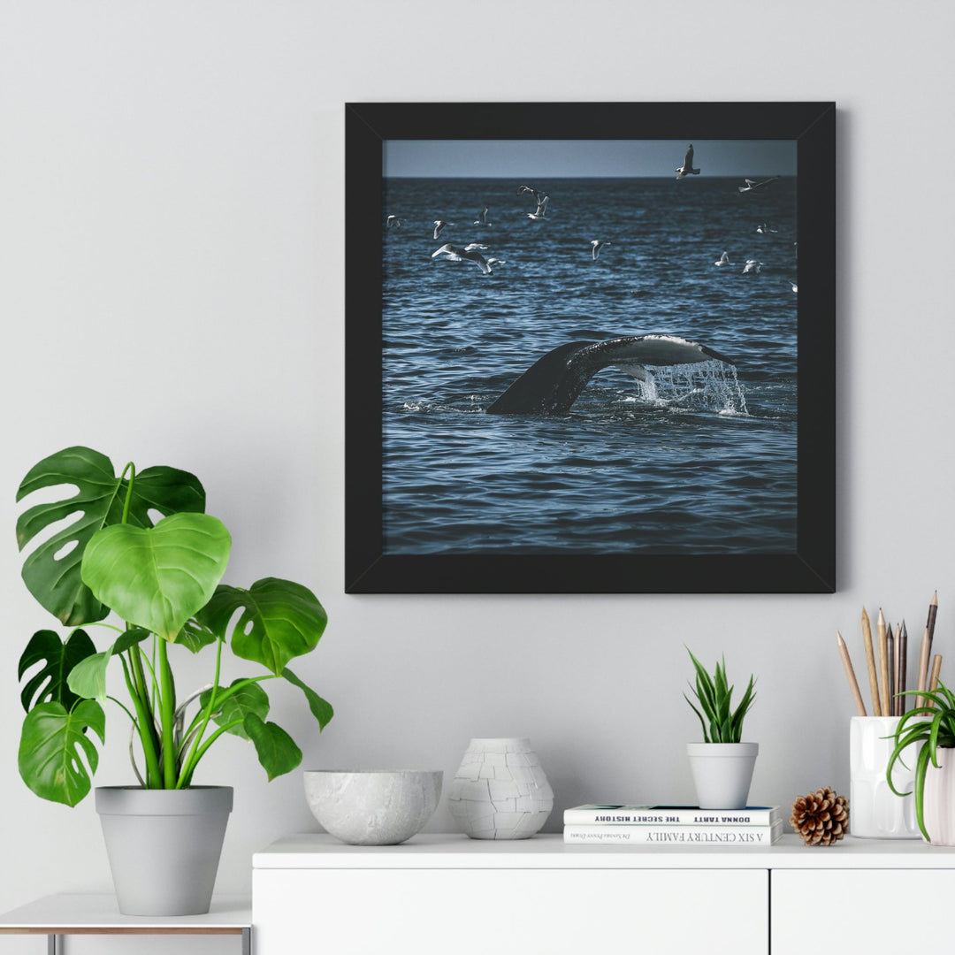 Feeding Tail - Framed Print - Visiting This World