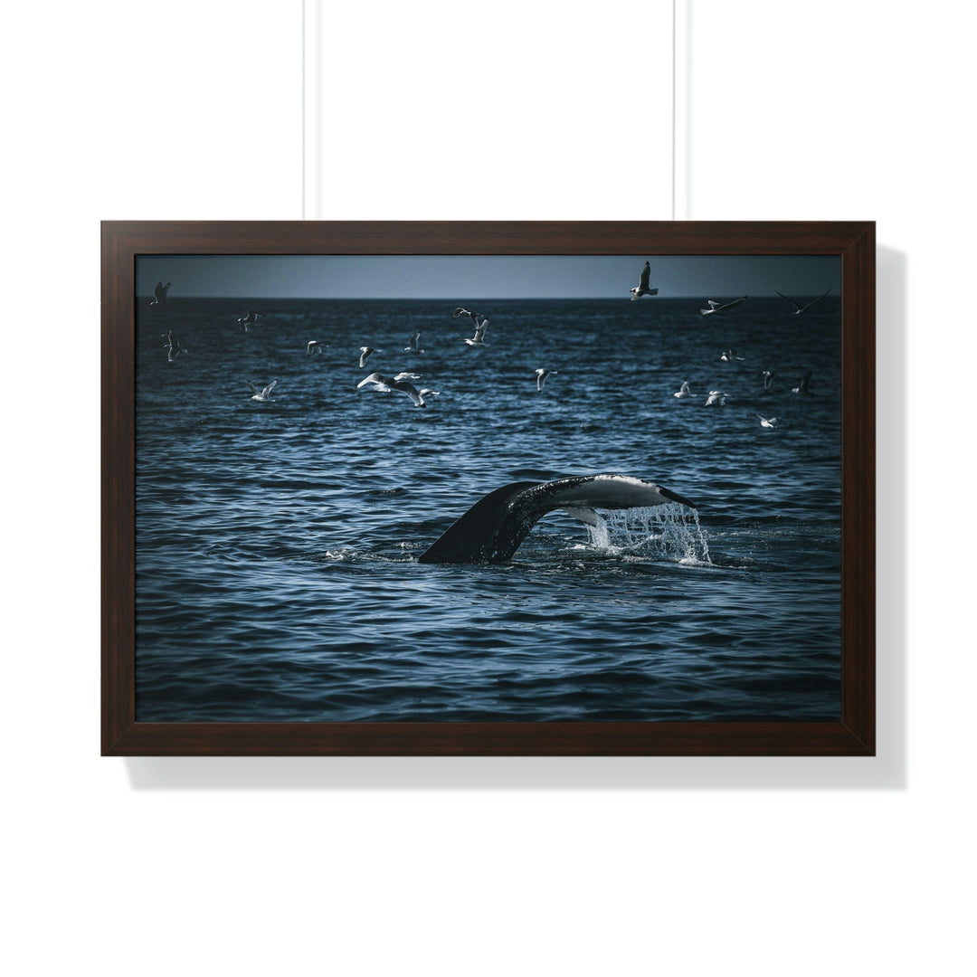 Feeding Tail - Framed Print - Visiting This World