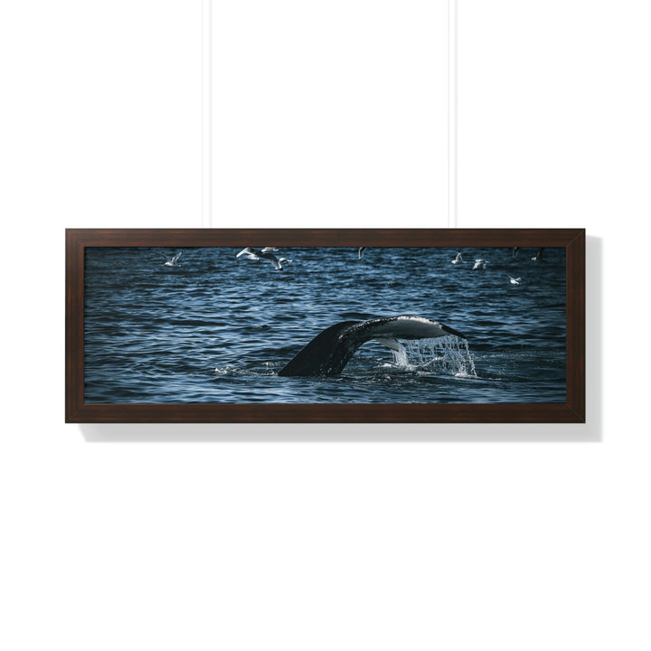 Feeding Tail - Framed Print - Visiting This World